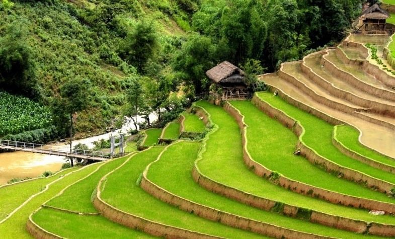 Sapa Tour Packages: Discover Your Inspiration